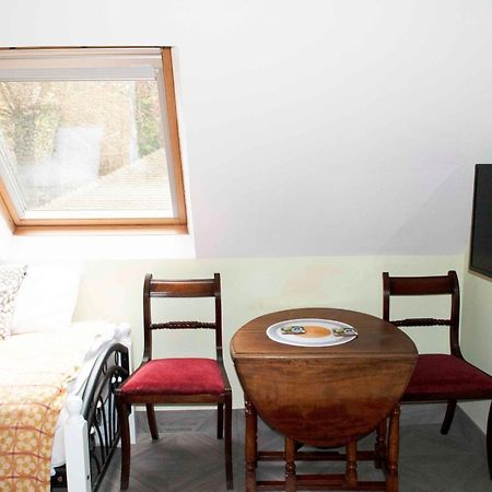 Forest Studio Apartment Gated Parking On 2 Acres Garden Чизлхерст Экстерьер фото